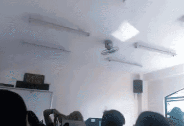 搞笑gif:不作死就不会死