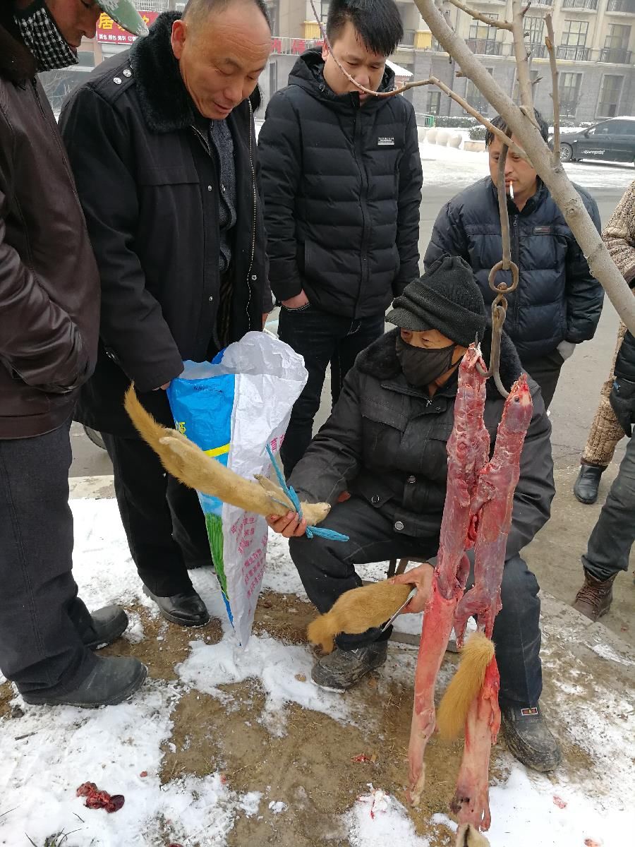 北方农村大集上,农民老汉带来两样稀罕物,很多人围观却不敢买