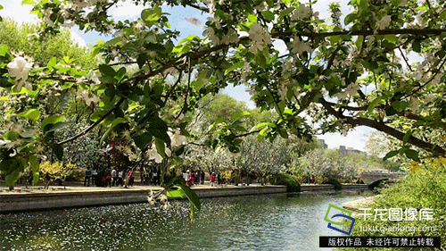 千龙网记者 梁泽瑛摄