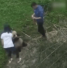 不一样的搞笑!二十五张图