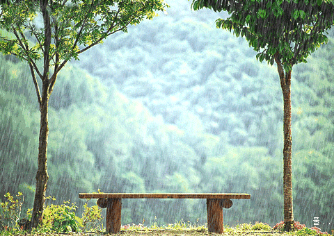 河北全省都是雨!一直持续至
