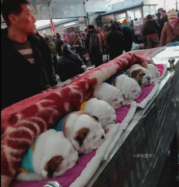 全球搞笑gif:坏人变老更龌龊,这种老而不都是怎么活过来的?