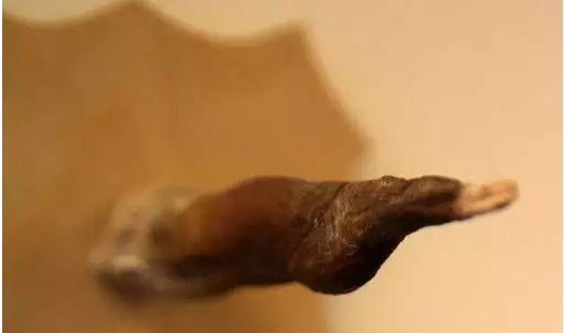 我的妈活久见,冰岛居然有家"丁丁"博物馆,污到极点了!