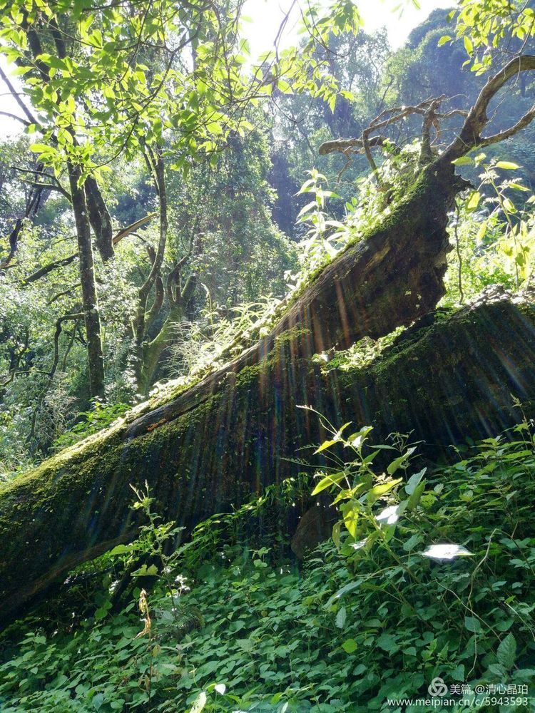 昆明走进自然户外:探密广通雕翎山