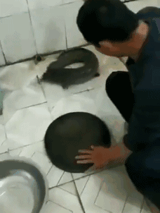 搞笑gfi第十四期:中国功夫惊现非洲,非洲版黄飞鸿,这身姿学到了精髓