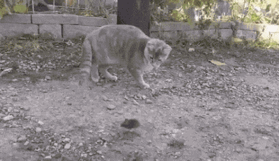 你这个x拿耗子多管闲事的!