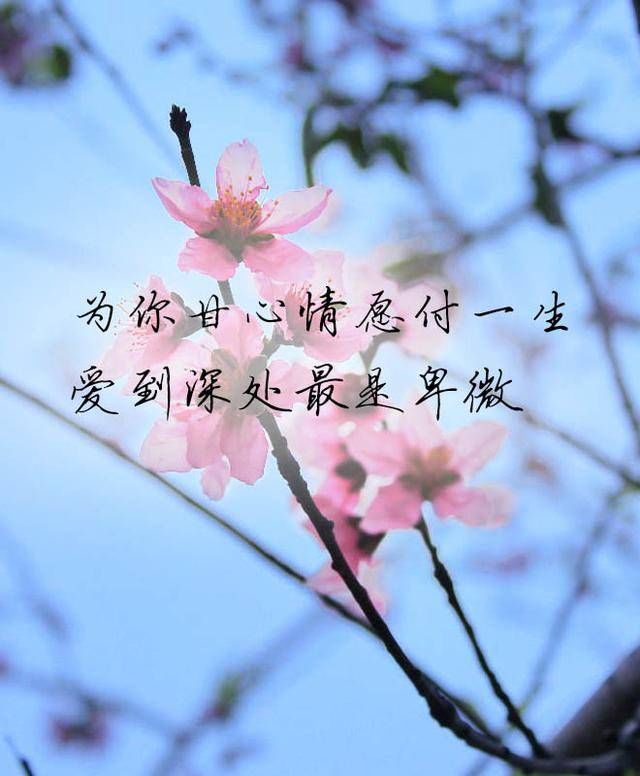 温暖过心灵的人,一辈子不会忘记