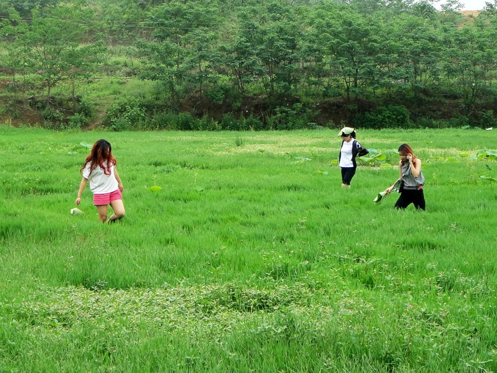 3个美女看见我们钓的安逸,马上脱了鞋子下到沼泽地.