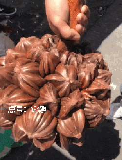 搞笑gif:真是猴精下凡了,妹子表情太到位了!