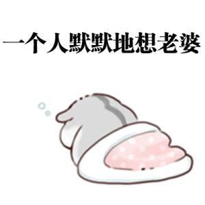 情侣聊天最实用小仓鼠表情包!