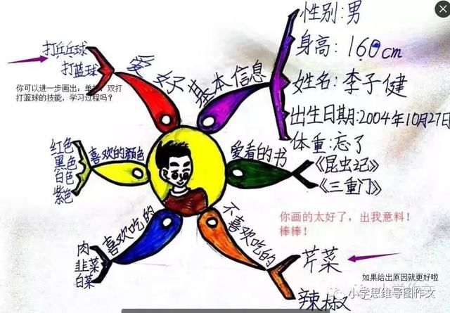 思维导图构思作文--优秀作品展示