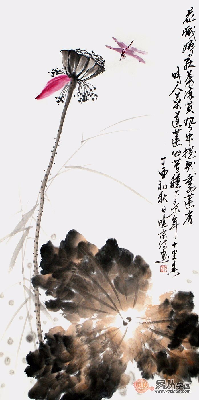 时人莫道莲心苦,种下来年十里香.国画荷花欣赏