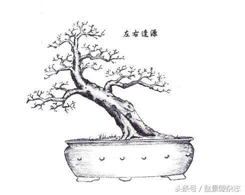 刘仲明大师手绘《岭南盆景百态图》