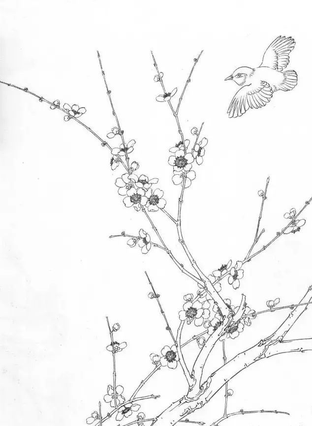 ↓↓↓ 三,线描梅花画谱 各位书友您认为呢?