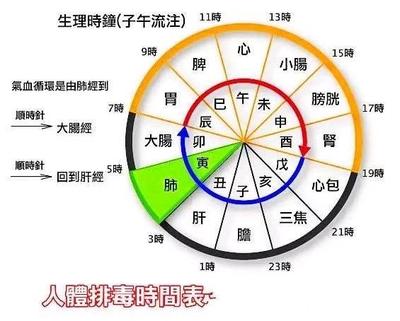 欺骗我们多年的"人体排毒时间表",背后的真相竟然是.