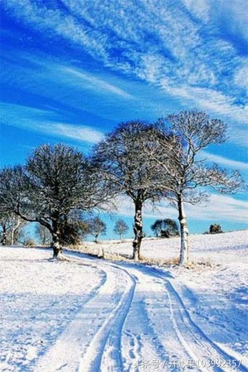 53张难得一见的雪景竖版图片,适合做手机壁纸!