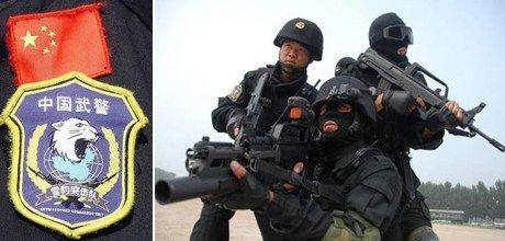 中国10大特种部队队徽曝光,你知道几个?