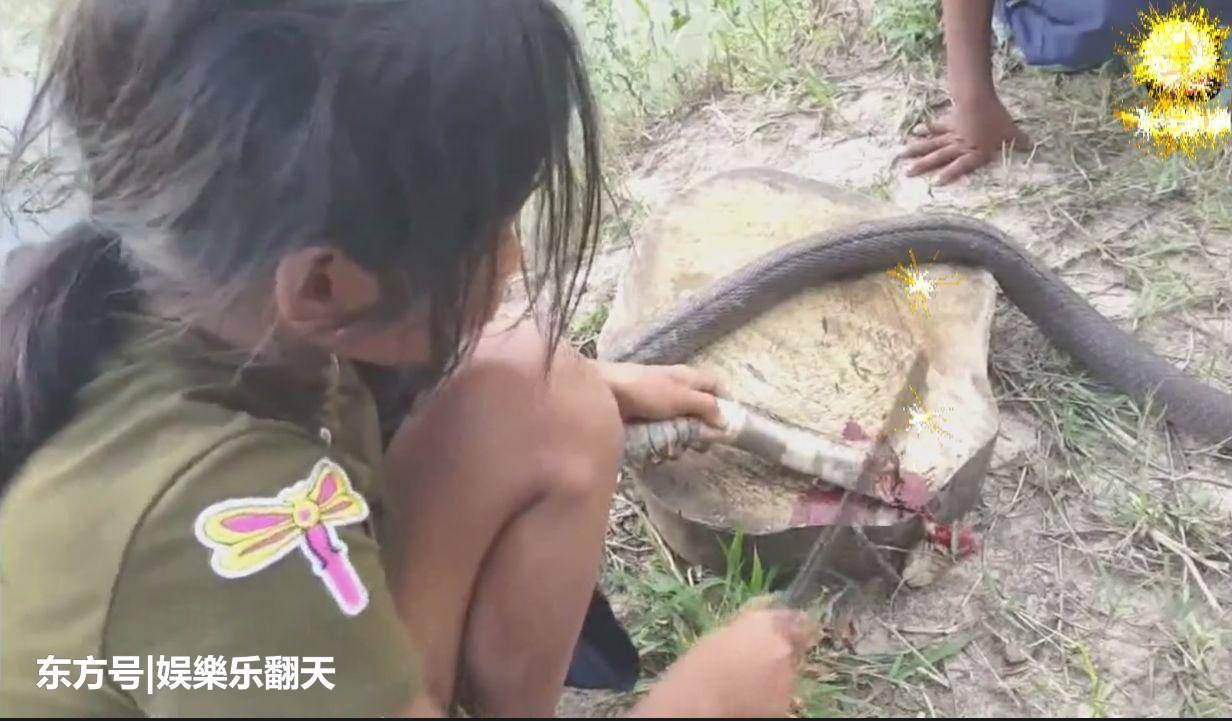 如图,小女孩正在将蛇头用斧头剁下来,场面看着就让人害怕.