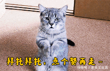 搞笑gif: 你p图我没有意见, 但是p得这么假, 就不太好