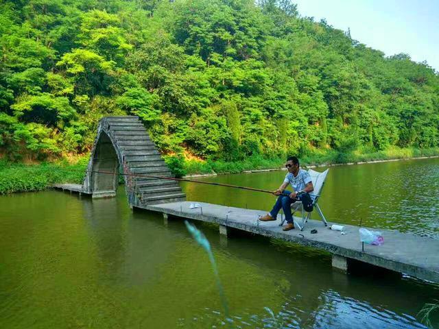 西安"卧龙山庄"风景区惊现西安地区最大面积野生竹林