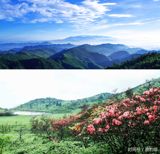 郴州临武大力推进全域旅游 旅游节暨紫薇花节即将启动