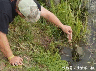这一爬上来可到好,直接就把男子吓了一大跳,这家伙和平时看到乌龟