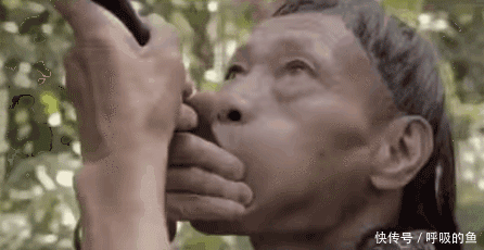 搞笑gif:师傅请受徒儿一拜,可否在您门下当吹箫童子