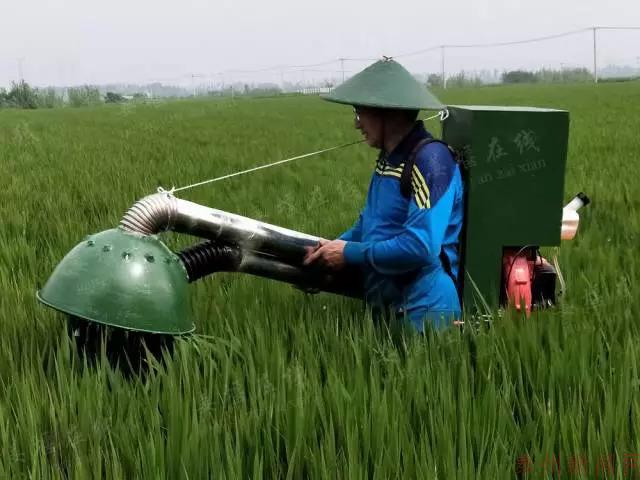 泰州姜堰农民"捣鼓"十多年 发明出无药灭虫机