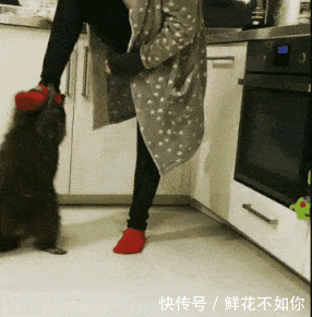 少年太会过日子了,女生遇到这样的男人嫁喽吧!