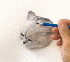主人把猫咪画的栩栩如生,可仔细看一眼猫咪眼睛后,笑喷了!
