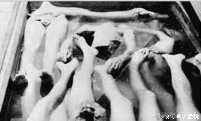 日军731部队, 无麻药活体解剖, 输马血致死无一生还