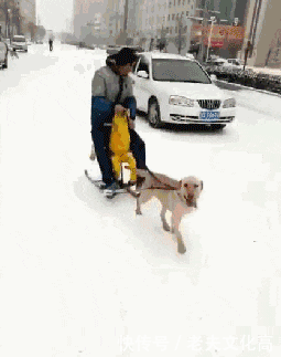 搞笑gif: 第一次上高速, 听着发动机的轰鸣声内心无比
