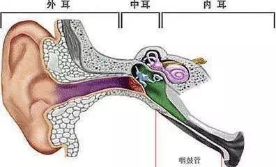 海安惠耳:咽鼓管功能都会出现哪些异常情况呢?(下)