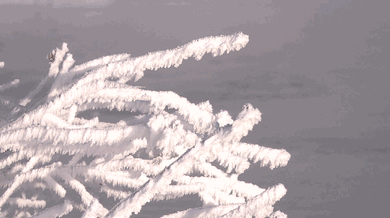 中国雾凇第一乡!面积大观赏期长,美得不可思议!