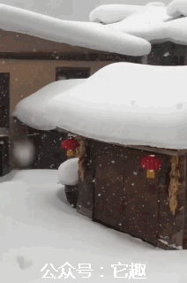 搞笑gif:为了能当上特警,我从小就边吃饭边拉屎!