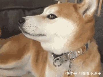 爆笑gif:哄女朋友的最佳方式,简单粗暴没毛病!