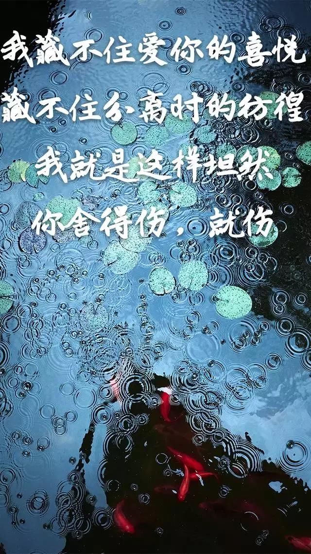 也许我真的不懂爱情,只知道一味的付出和等待