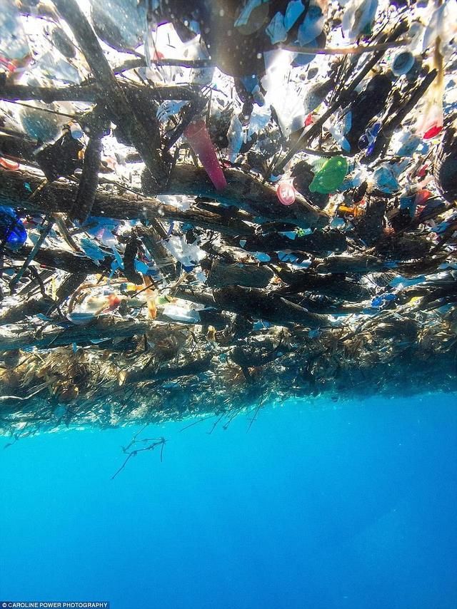 十年内翻三倍!每年千万吨塑料垃圾进大海,地球还能住人吗?