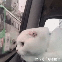 搞笑gif:妹子,我知道你这裤子是新买的了,看你的吊牌就知道了