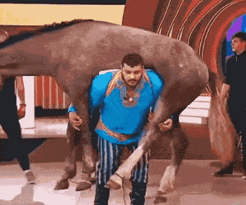 gif段子:阿姨你刚才要是说的这么6,该多好啊!