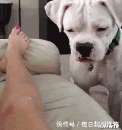 搞笑gif:姑娘,别闹了什么事情把你打击整成这样了