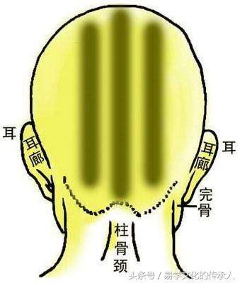 骨相学秘传"摸骨算命"金口诀(建议收藏)