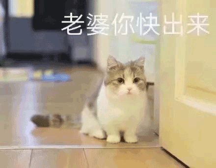 哄老婆可爱表情包:老婆舔舔,你真好看