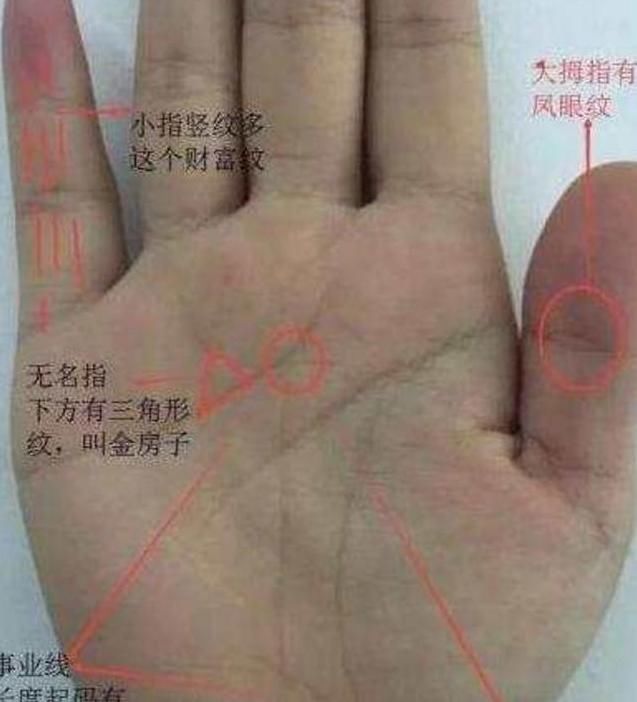 "富贵"手相,不论男女,必发大财,注定是有钱人!