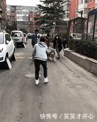 搞笑段子gif:姑娘,你说你这是何苦呢?-北京时间