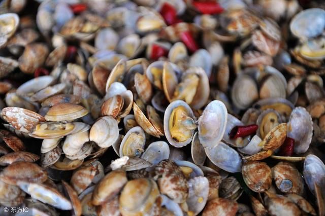 各种海鲜名字大全