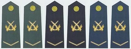 金色的松枝加三颗金星是上将 中央军事委员会主席不授予军衔 中央