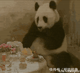 这熊猫的表情也是绝到不行了