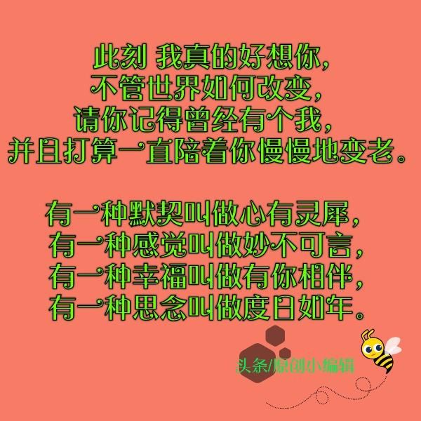 思念的雨思念的你,想你念你一遍又一遍!