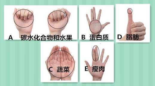 糖尿病饮食手掌法则